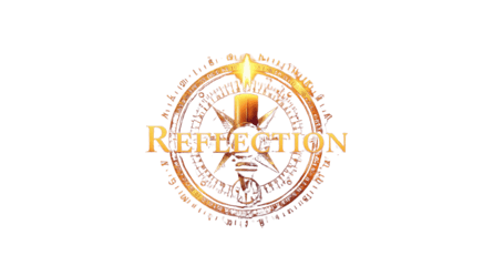 Reflection Recovery